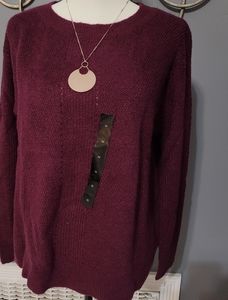 Banana Republic Factory Ribbed Poinetelle Sweater